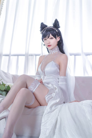 生命之岛中文版